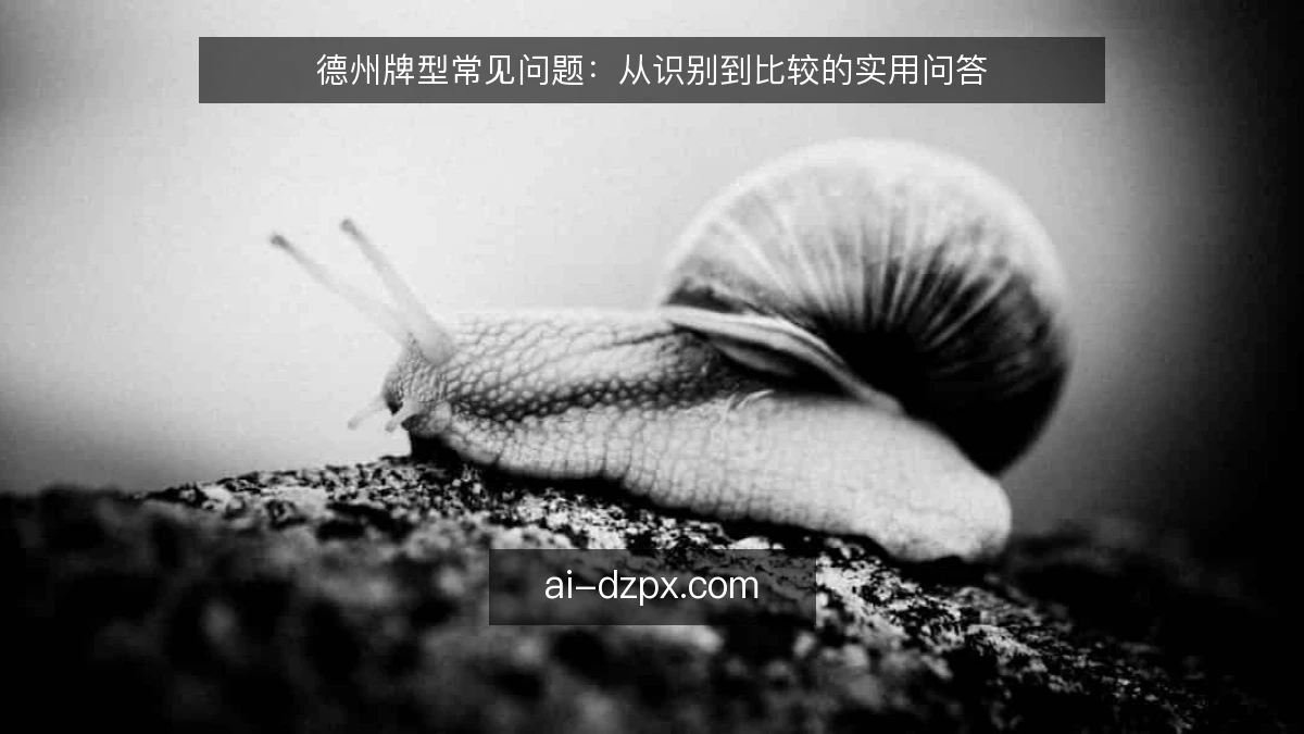 德州牌型常见问题：从识别到比较的实用问答